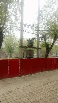 魏县张盼盼最新爆料,揭秘事件背后惊人真相