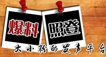 大活动最新爆料新闻,精彩看点抢先知！